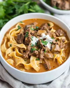 Beef Stroganoff Soup