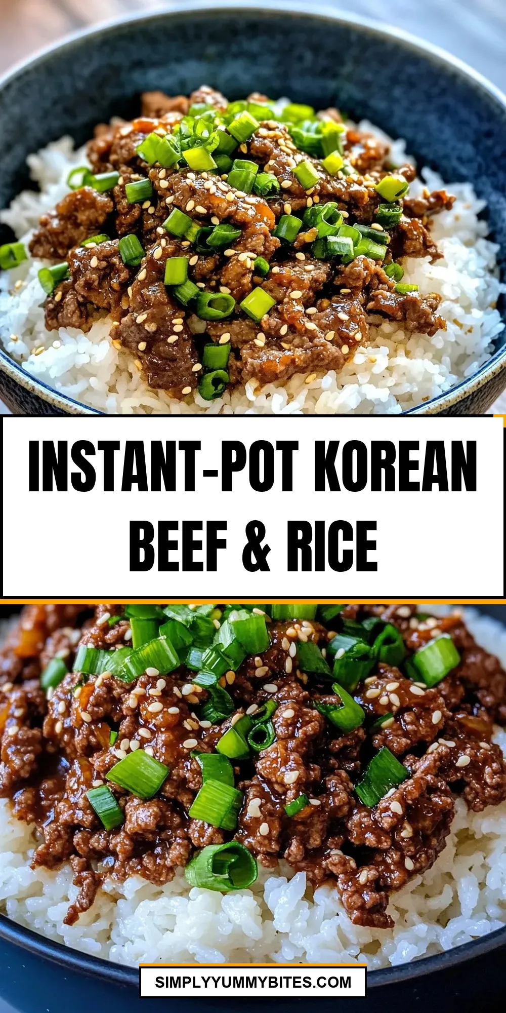 Easy Instant-Pot Korean Beef & Rice Recipe