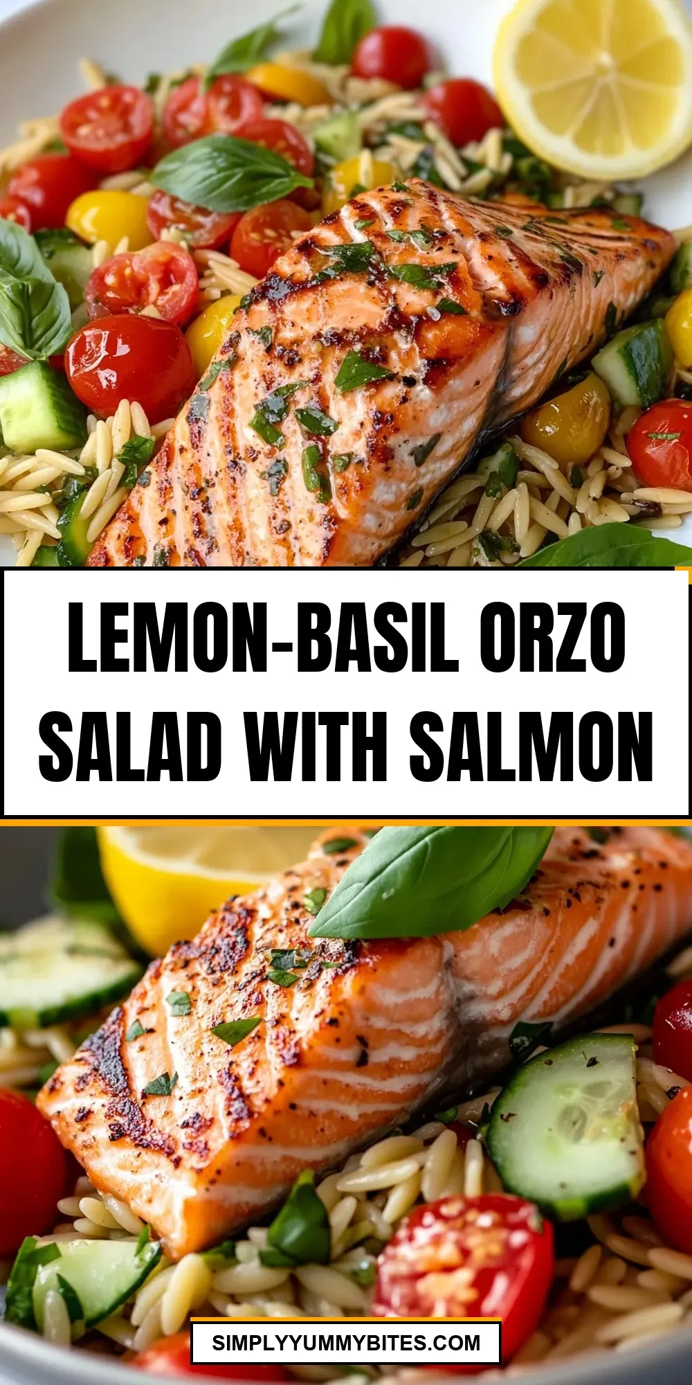 The Best Lemon-Basil Orzo Salad With Salmon Ever
