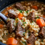 Homemade Beef and Barley Soup photo