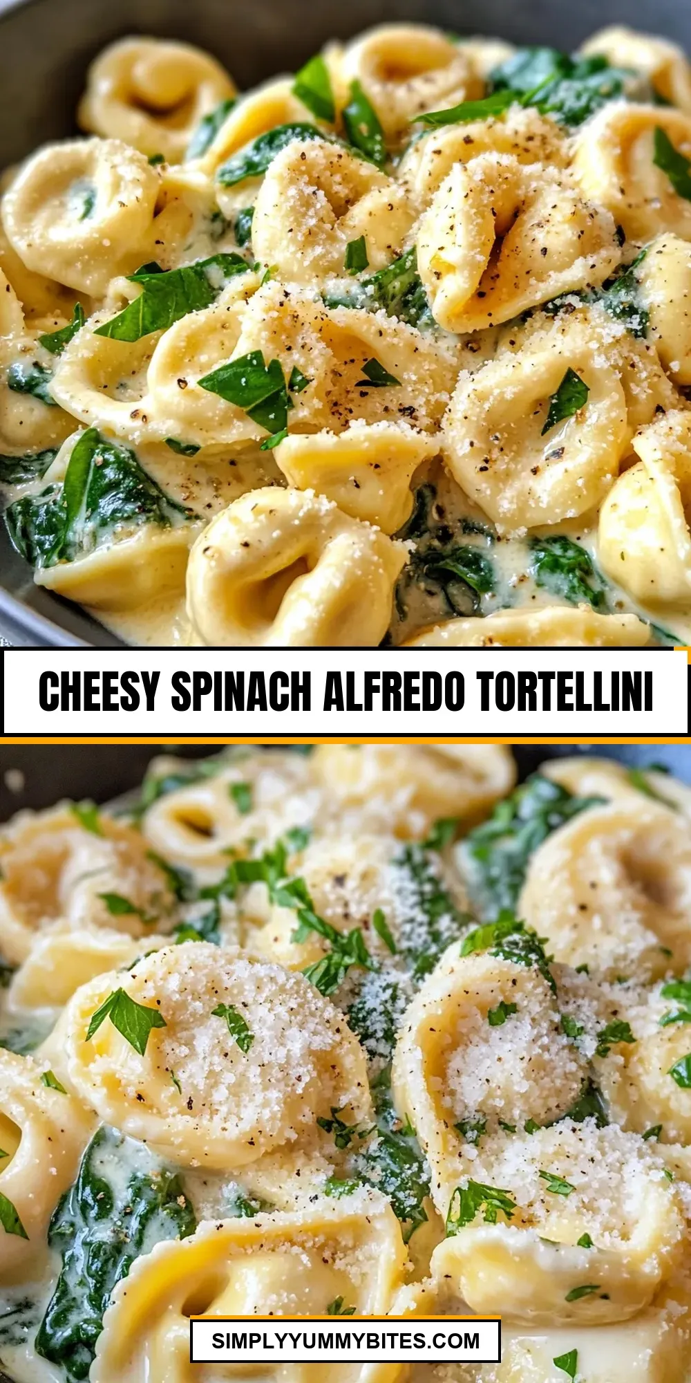 Cheesy Spinach Alfredo Tortellini Recipe