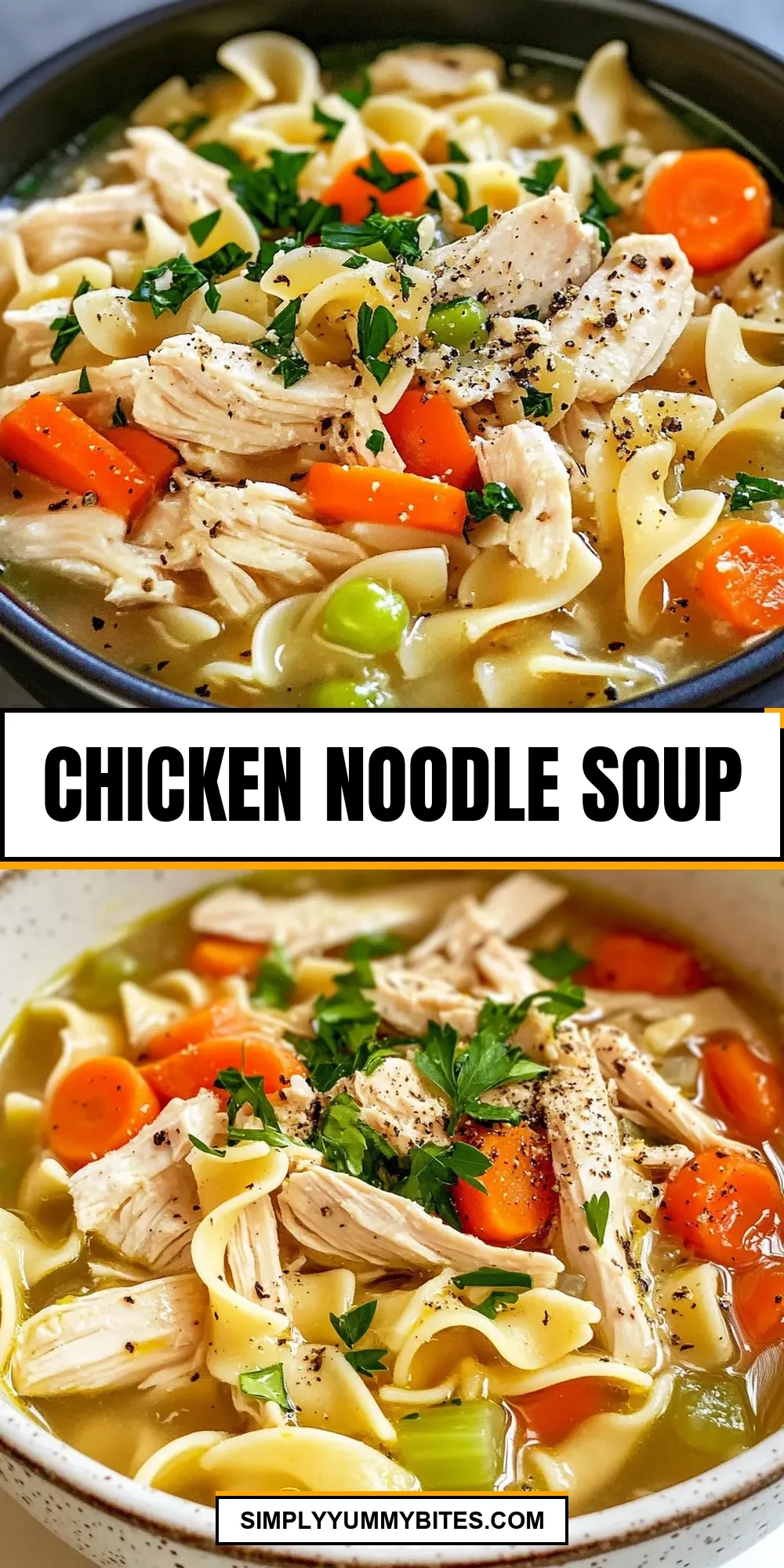 Chicken Noodle Soup (Tasty & Delicious)