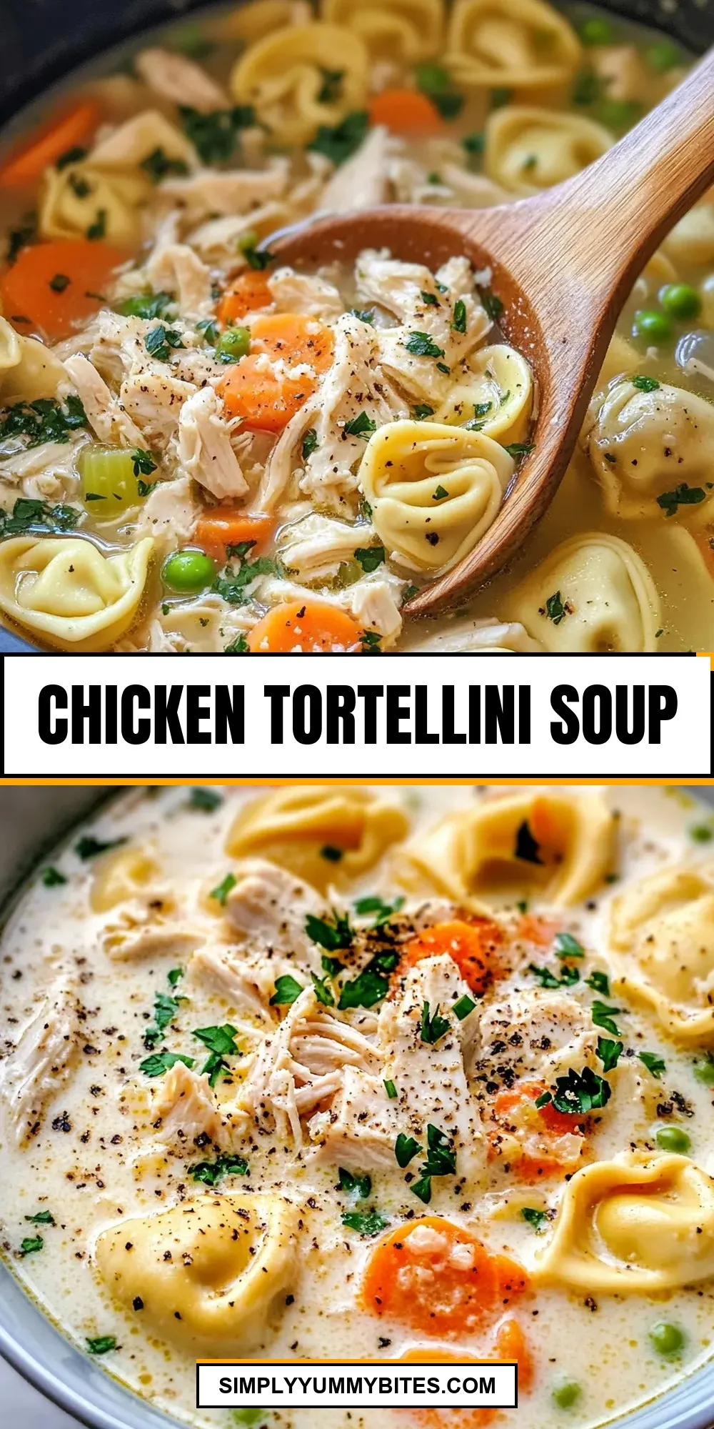 Tasty Chicken Tortellini Soup