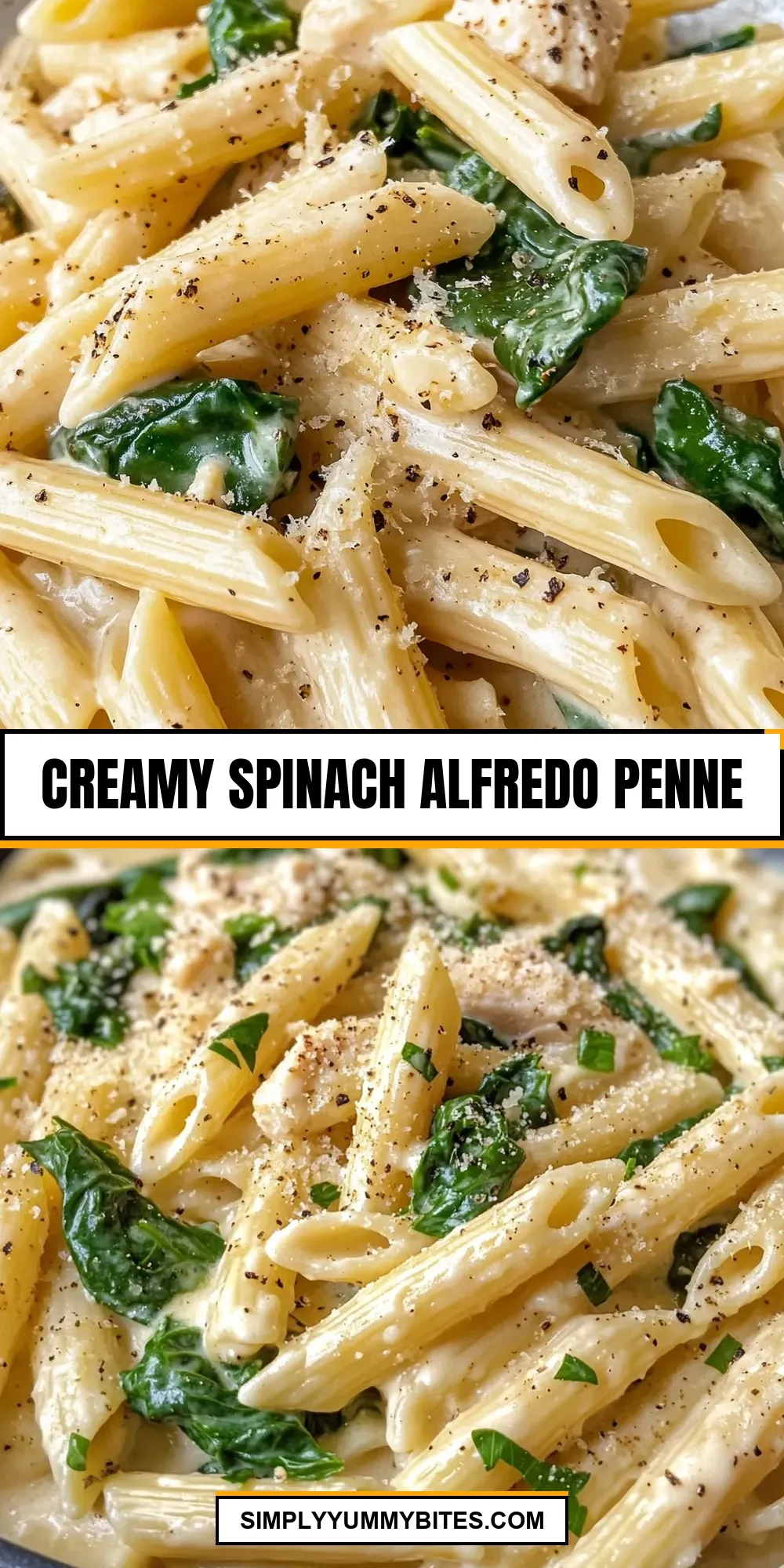 Creamy Spinach Alfredo Penne Recipe