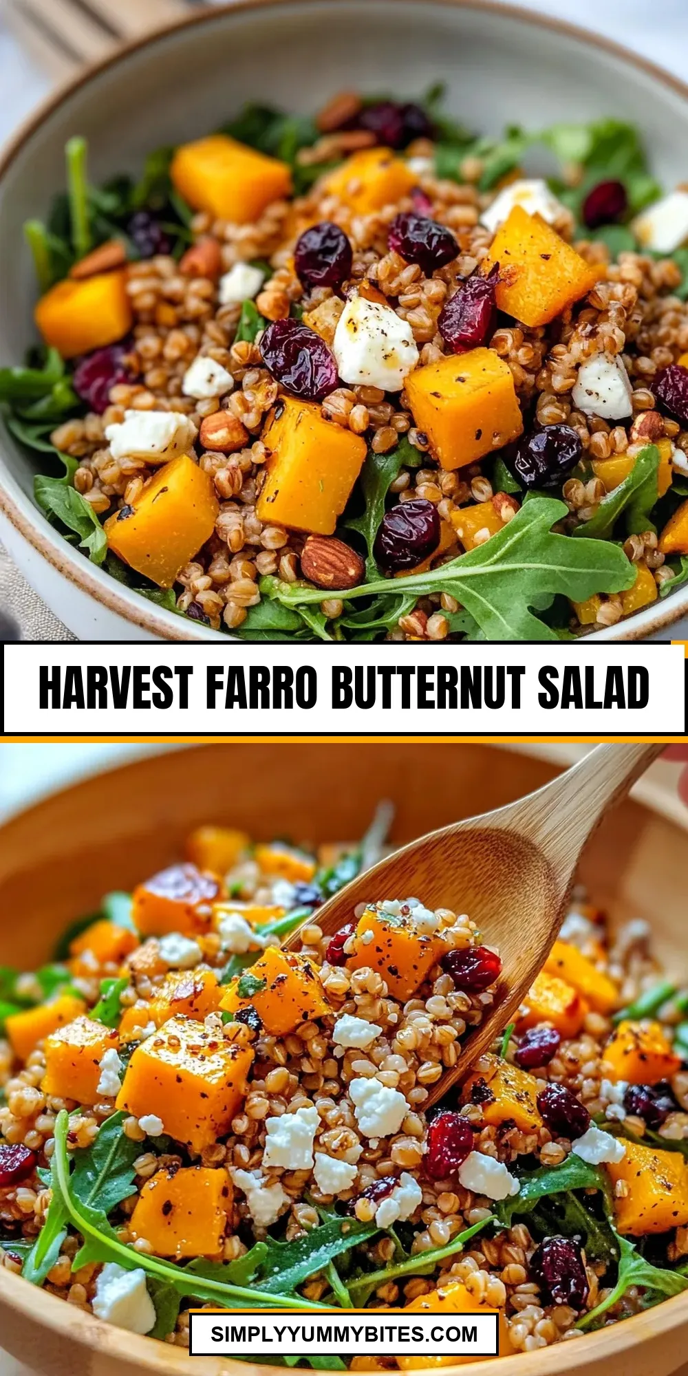 Harvest Farro Butternut Salad Recipe