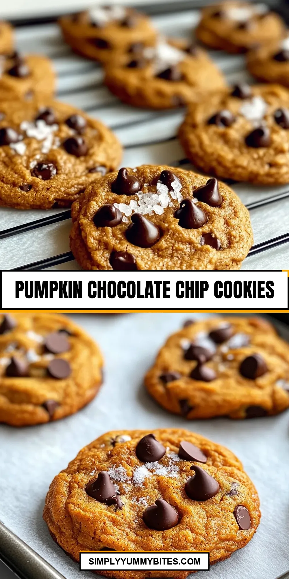 The Best Pumpkin Chocolate Chip Cookies Ever