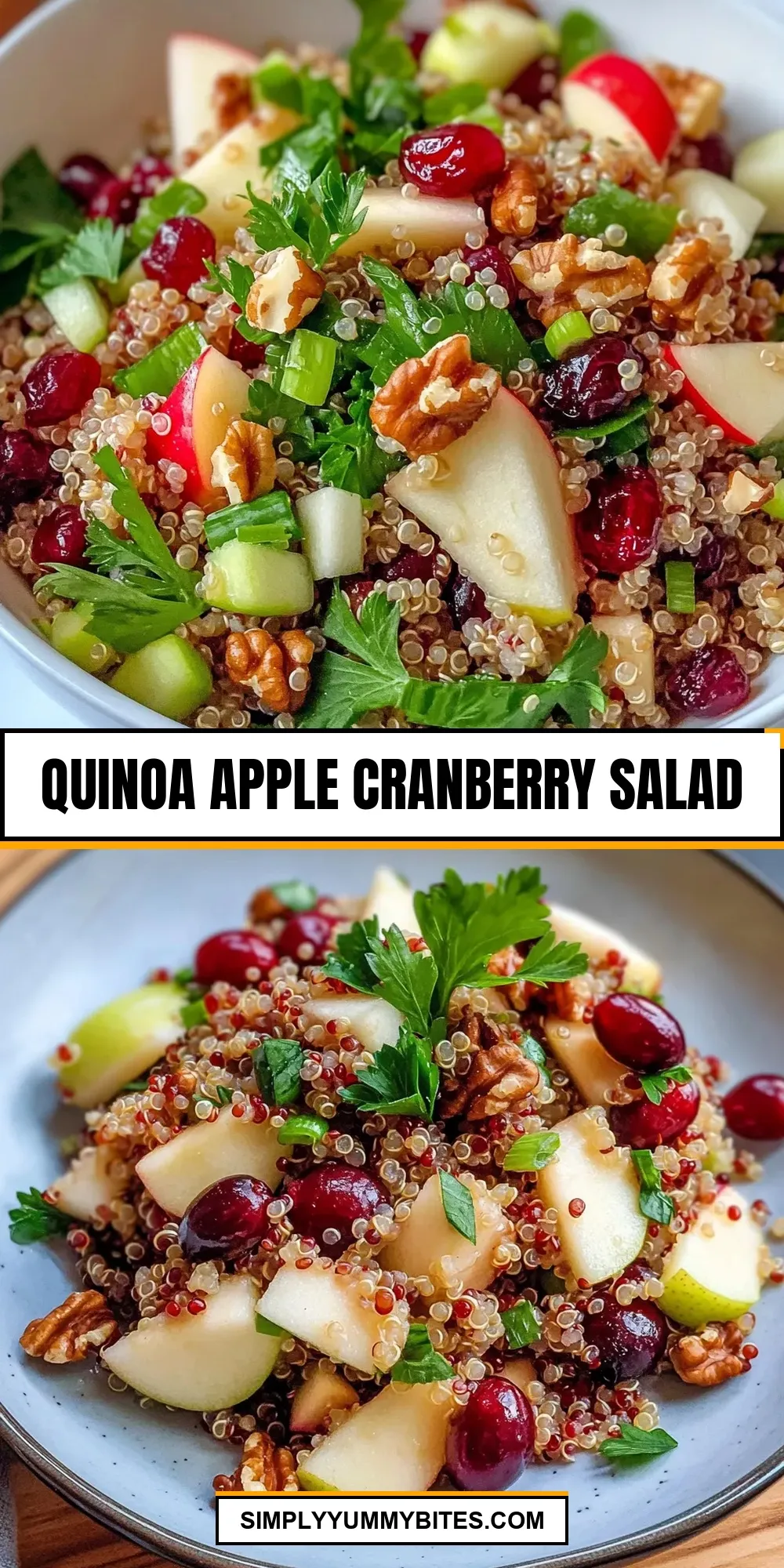 The Best Quinoa Apple Cranberry Salad Ever