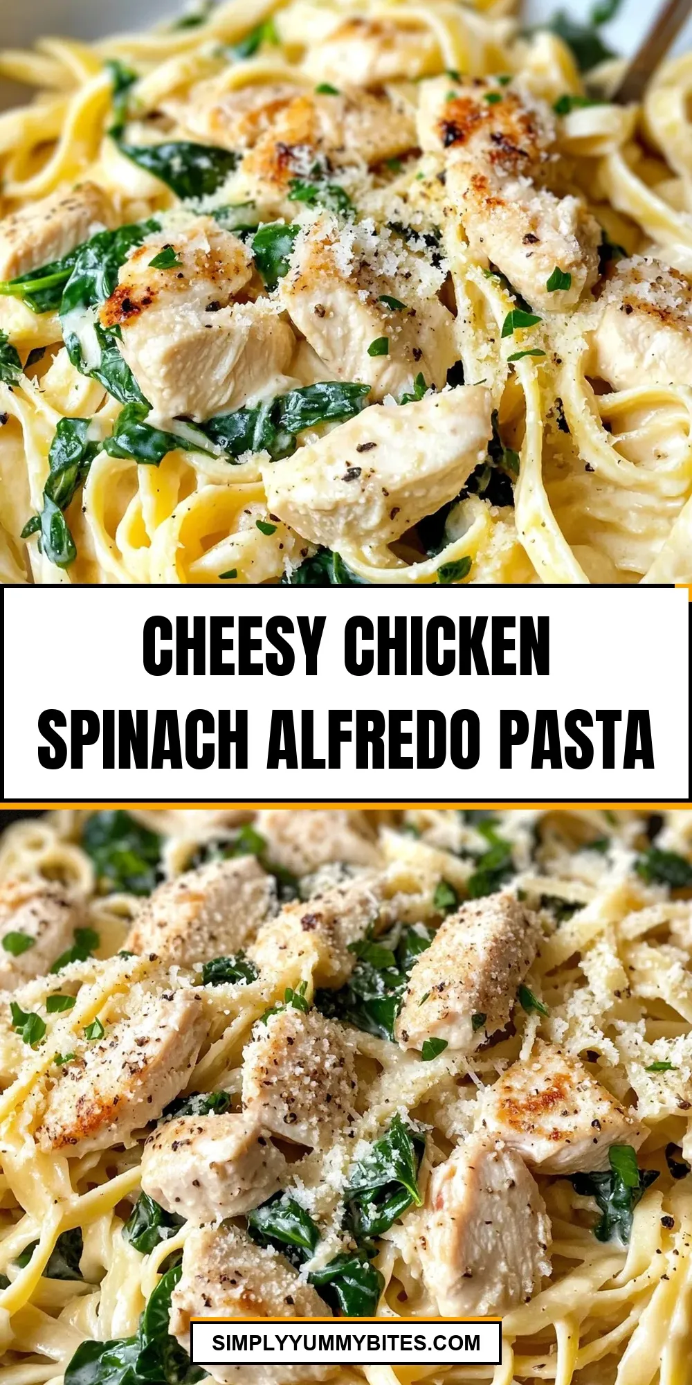 Cheesy Chicken Spinach Alfredo Pasta Recipe