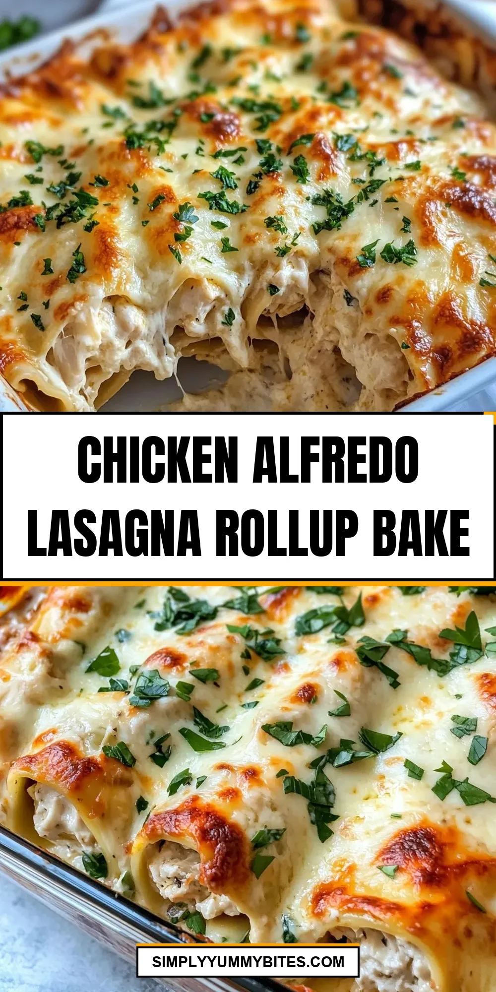 Chicken Alfredo Lasagna Rollup Bake Recipe