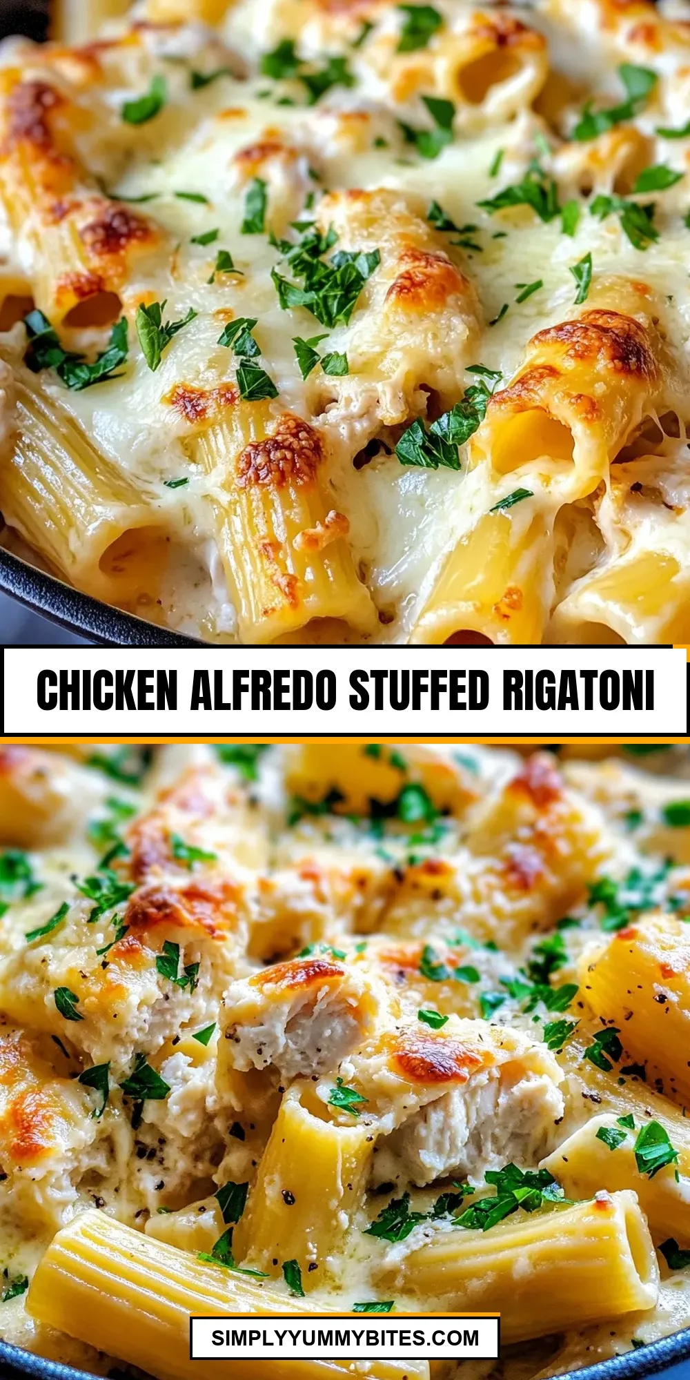 Chicken Alfredo Stuffed Rigatoni (Easy & Delicious)