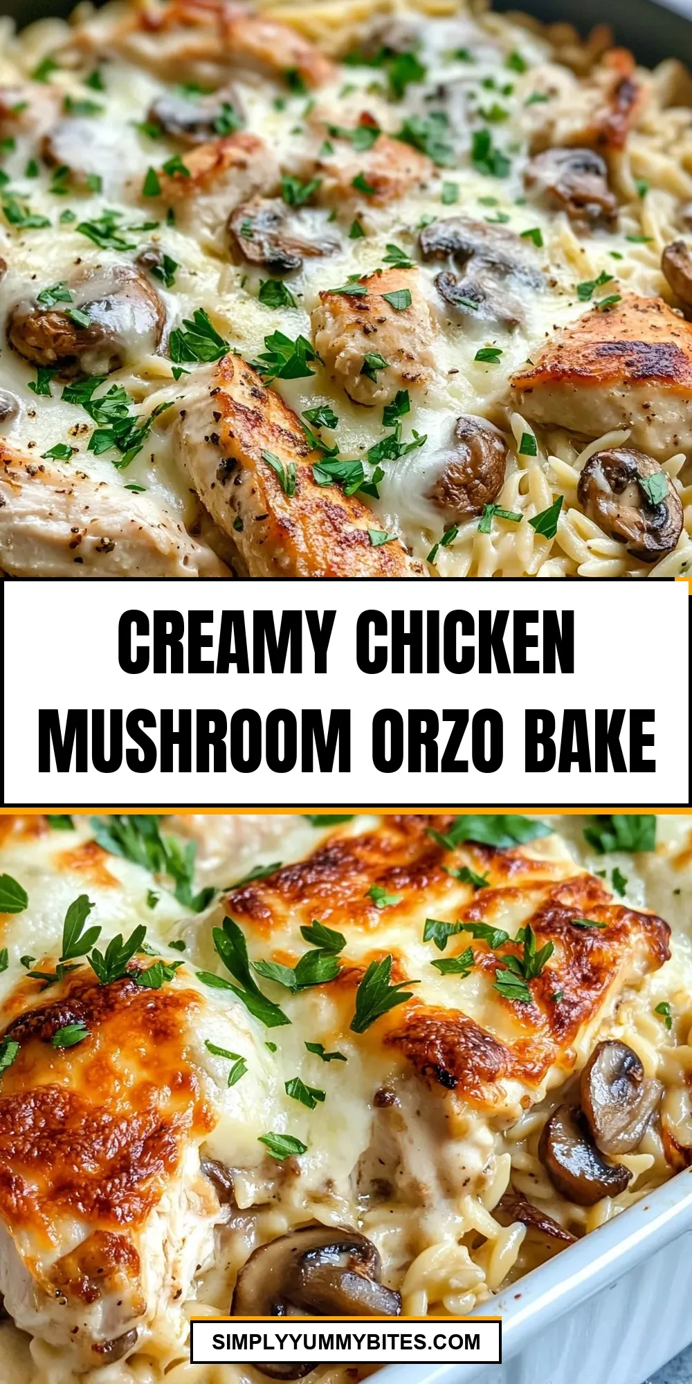 Creamy Chicken Mushroom Orzo Bake Recipe