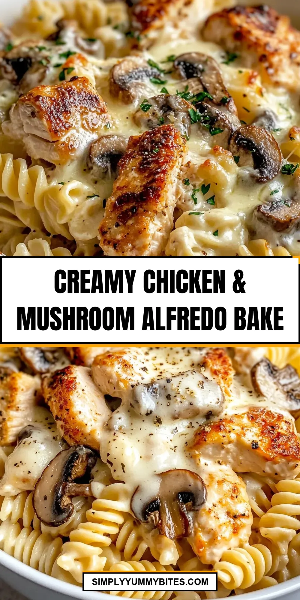 The Best Creamy Chicken & Mushroom Alfredo Bake Ever