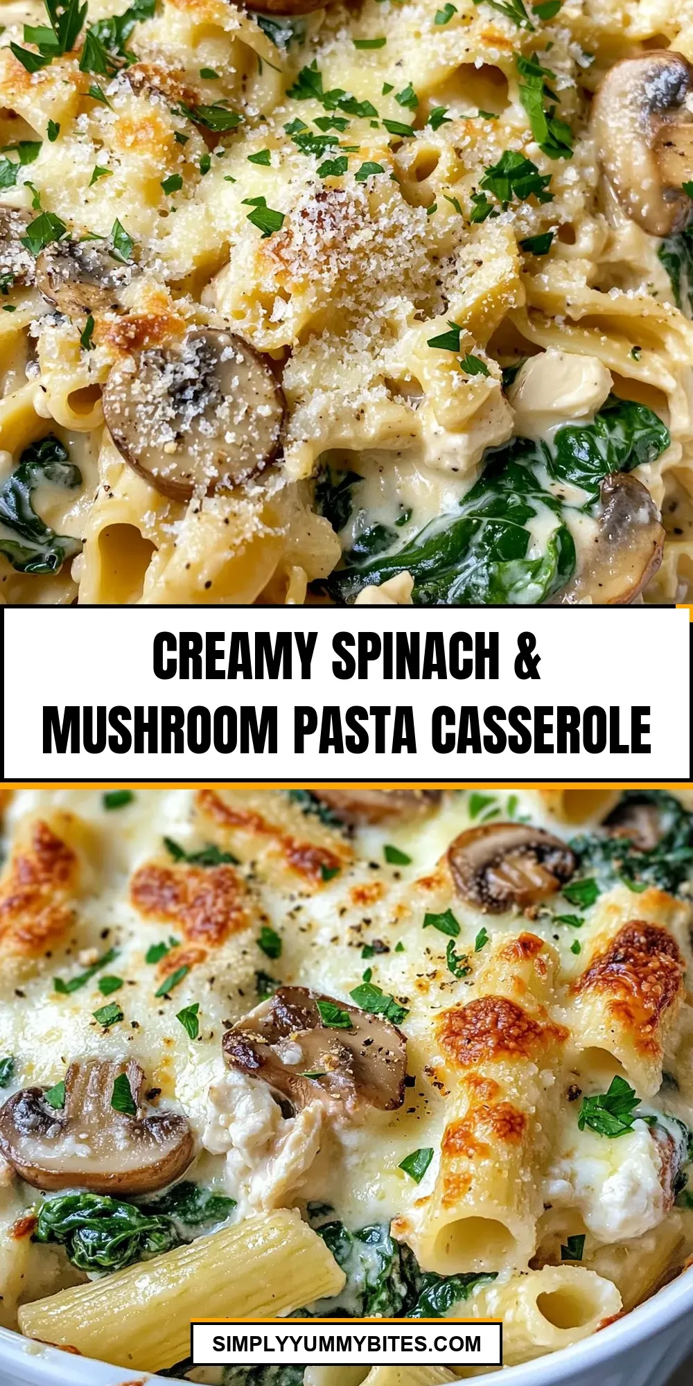 Easy Creamy Spinach & Mushroom Pasta Casserole Recipe