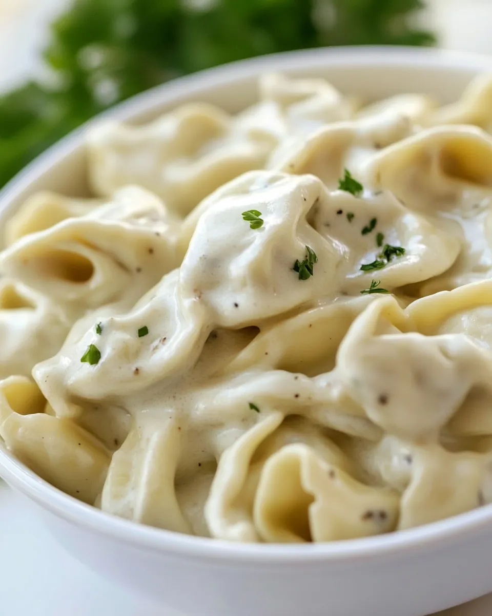 Easy Cheesy Tortellini Pasta photo