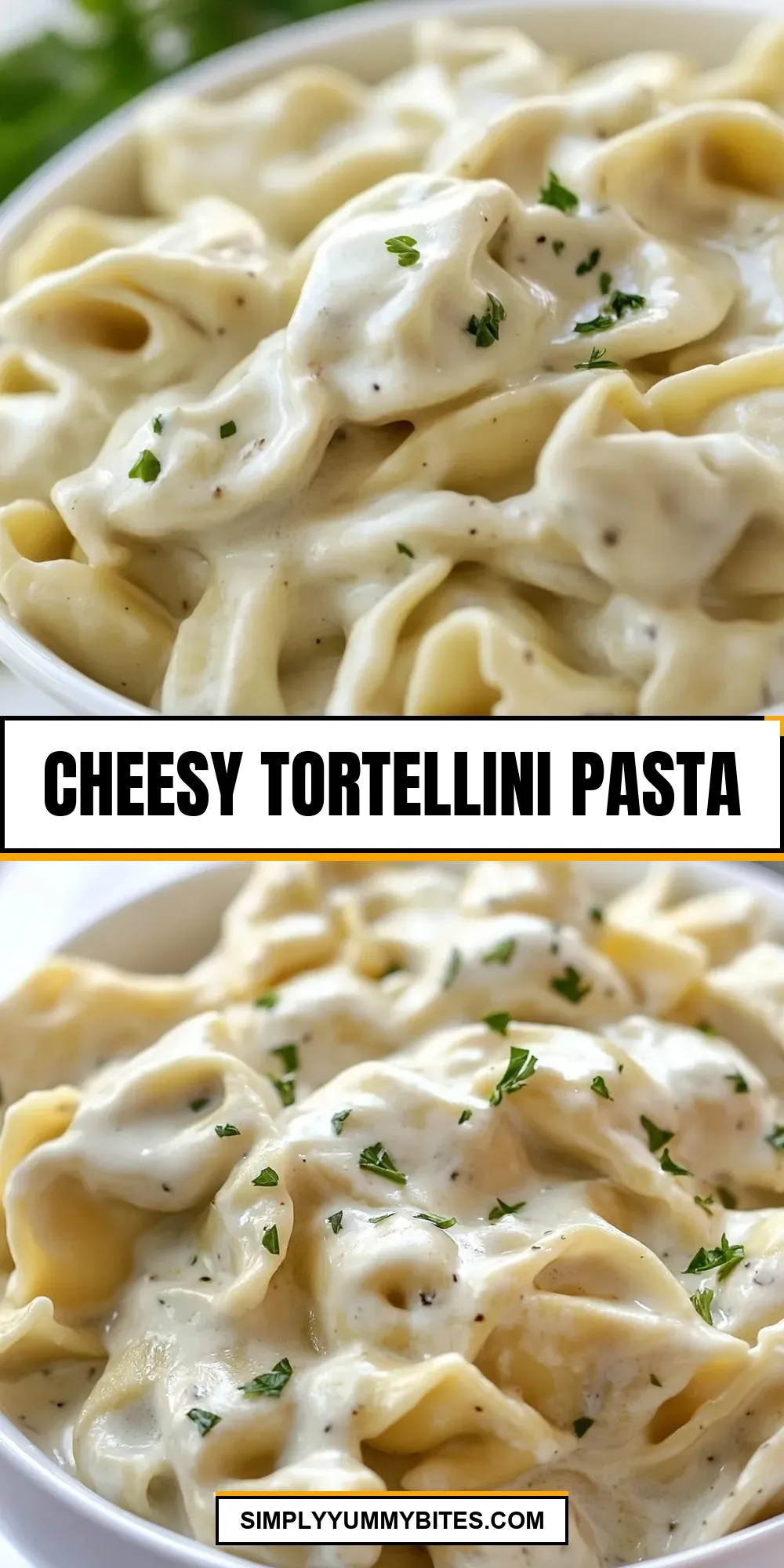Savory Cheesy Tortellini Pasta