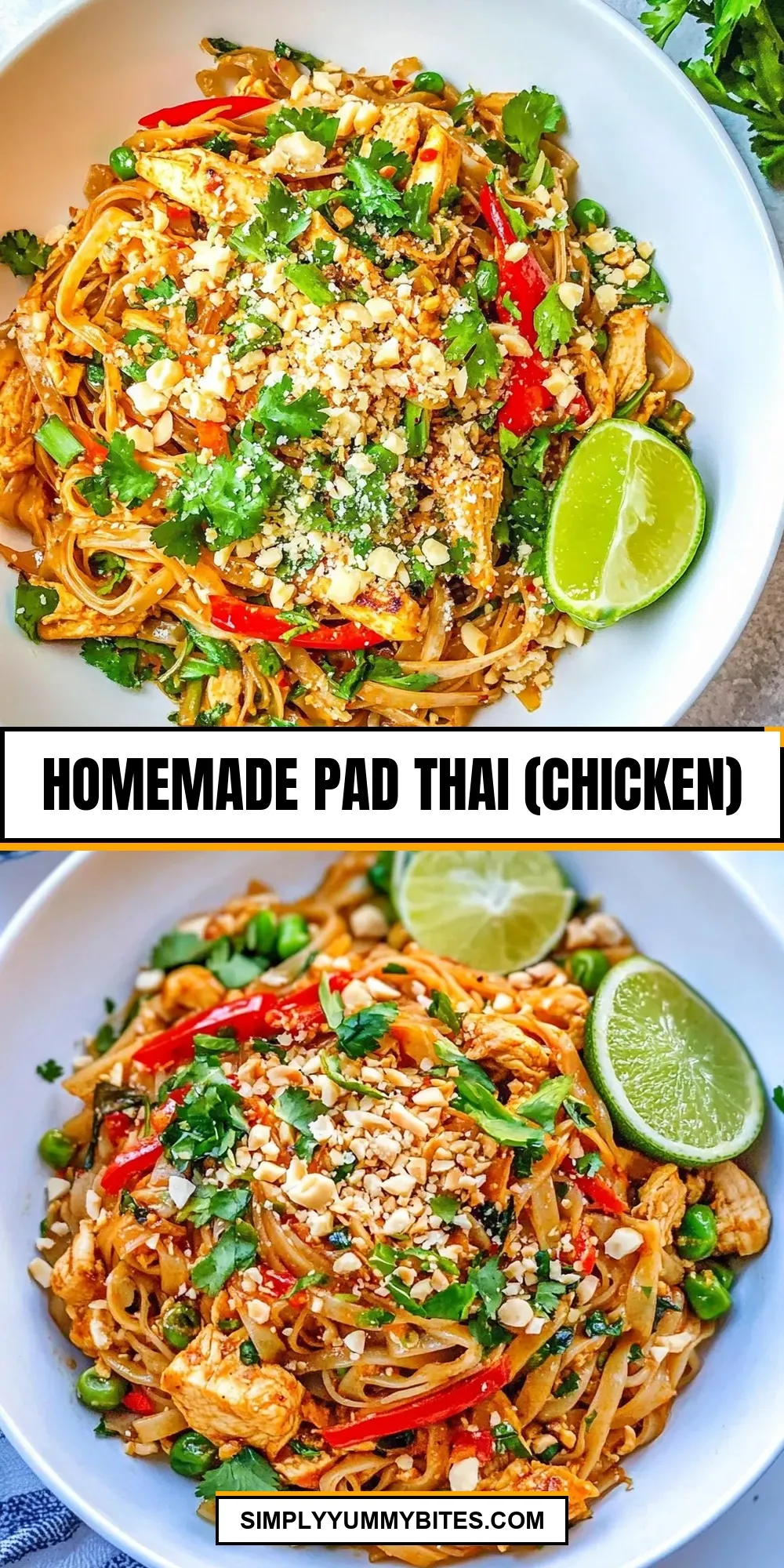How To Make Amazing Homemade Pad Thai (Chicken)
