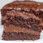 Easy Busy Day Chocolate Cake photo