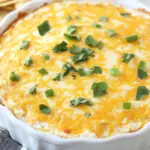 Homemade Chicken Enchilada Dip photo