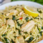 Homemade Creamy Lemon Orzo with Chicken photo