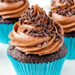 Homemade Double Chocolate Cupcakes photo