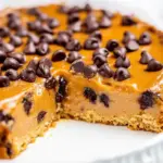 Homemade Flourless Peanut Butter Chocolate Chip Blender Cake photo