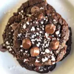 Homemade Gluten-Free Salted Double Chocolate Buckwheat Cookies photo