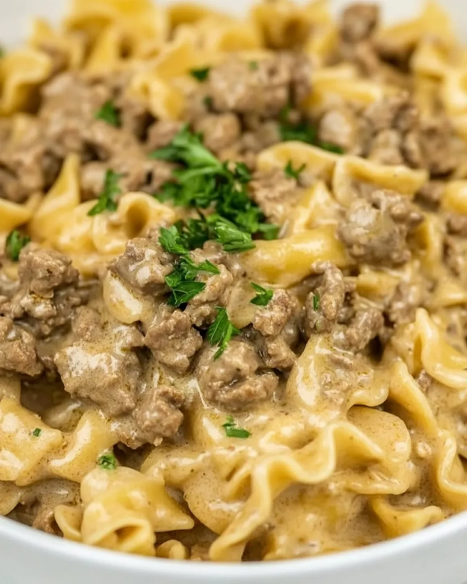Easy Ground Beef Stroganoff(One Pot!) photo
