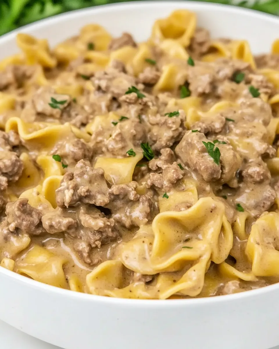 Quick Ground Beef Stroganoff(One Pot!) shot
