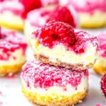 Homemade Keto Raspberry Cheesecake Bites photo