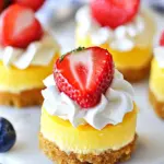 Homemade Mini Cheesecakes Recipe photo