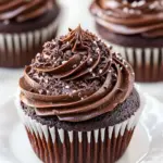 Homemade Old-Fashioned Chocolate Buttermilk Cupcakes photo