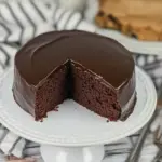Easy One Layer Fudge Cake photo
