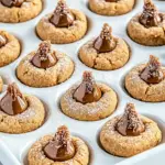 Homemade Peanut Butter Blossoms Recipe photo
