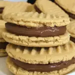 Homemade Peanut Butter Sandwich Cookies With Nutella Marshmallow Cream photo