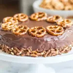 Homemade Salted Dark Chocolate Pretzel Truffle Cake photo