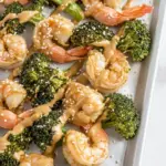 Easy Sheet Pan Peanut Sauce Shrimp and Broccoli photo