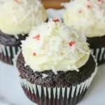 Homemade The Best Chocolate Coconut Cupcakes photo