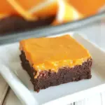 Homemade The Best Orange Frosted Brownies photo