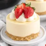 Homemade Vanilla Bean Instant Pot Cheesecake photo